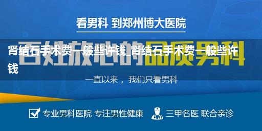 肾结石手术费一般些许钱_肾结石手术费一般些许钱