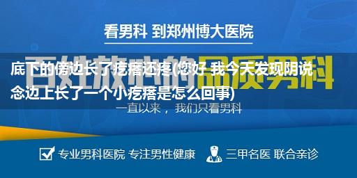 底下的傍边长了疙瘩还疼(您好 我今天发现阴说念边上长了一个小疙瘩是怎么回事)